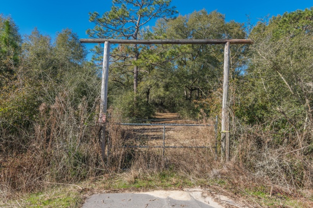 Defuniak Springs, Florida 32433, ,Land,For Sale,County Hwy 183,863161
