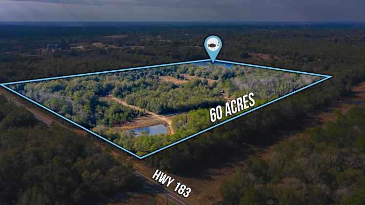 Defuniak Springs, Florida 32433, ,Land,For Sale,County Hwy 183,863161