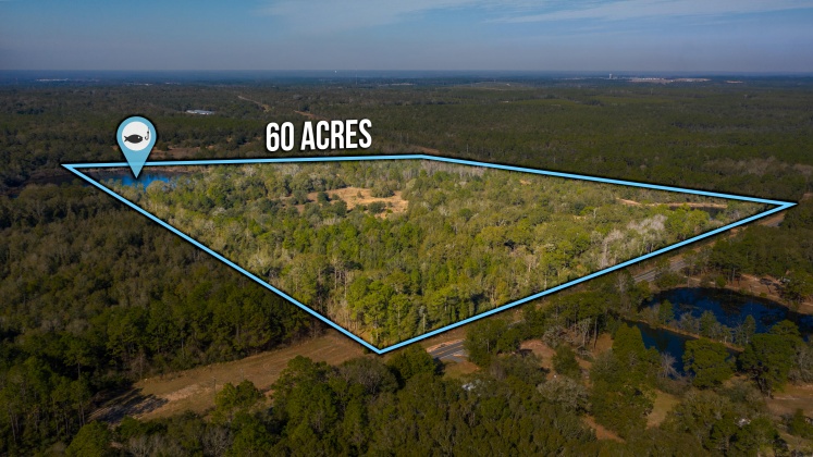 Defuniak Springs, Florida 32433, ,Land,For Sale,County Hwy 183,863161