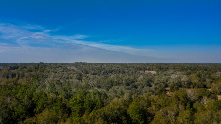 Defuniak Springs, Florida 32433, ,Land,For Sale,County Hwy 183,863161