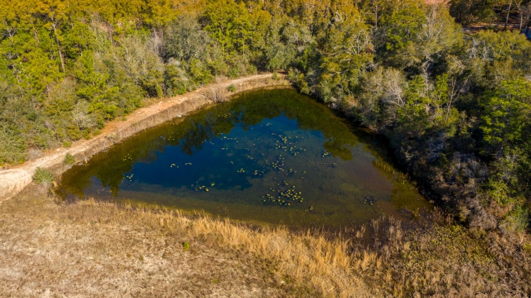 Defuniak Springs, Florida 32433, ,Land,For Sale,County Hwy 183,863161