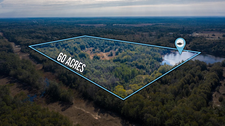 Defuniak Springs, Florida 32433, ,Land,For Sale,County Hwy 183,863161