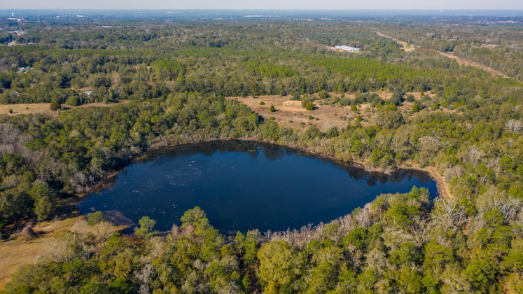 Defuniak Springs, Florida 32433, ,Land,For Sale,County Hwy 183,863161
