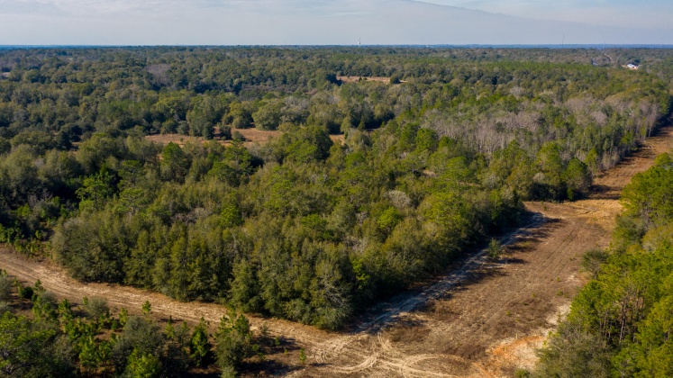 Defuniak Springs, Florida 32433, ,Land,For Sale,County Hwy 183,863161