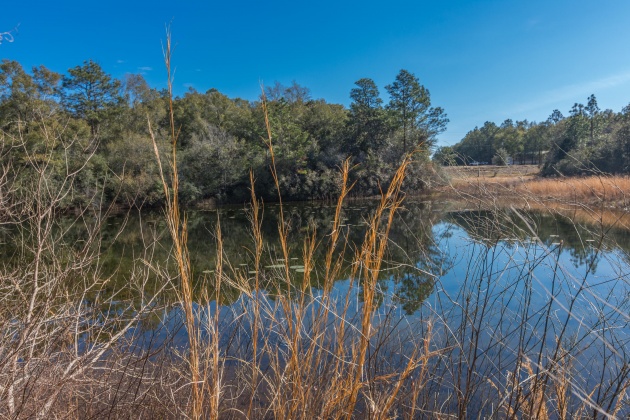 Defuniak Springs, Florida 32433, ,Land,For Sale,County Hwy 183,863161