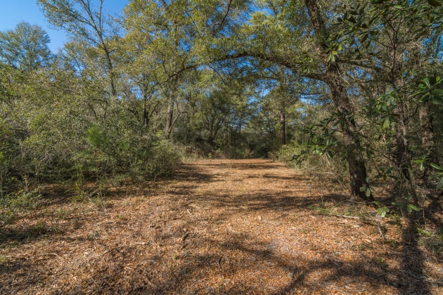 Defuniak Springs, Florida 32433, ,Land,For Sale,County Hwy 183,863161