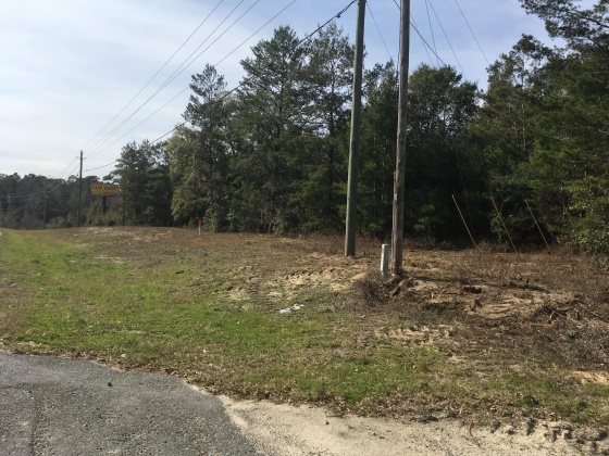 Freeport, Florida 32439, ,Commercial for Sale,For Sale,Highway 20,815803