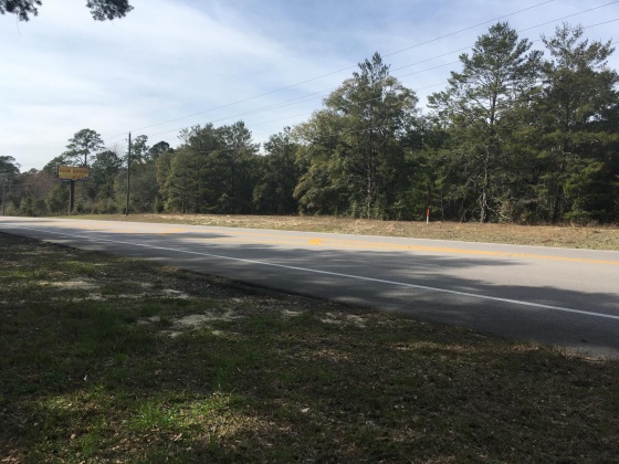 Freeport, Florida 32439, ,Commercial for Sale,For Sale,Highway 20,815803