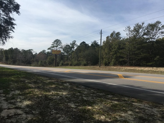 Freeport, Florida 32439, ,Commercial for Sale,For Sale,Highway 20,815803