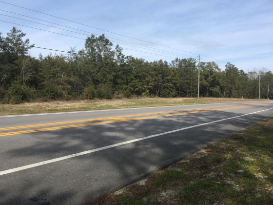 Freeport, Florida 32439, ,Commercial for Sale,For Sale,Highway 20,815803