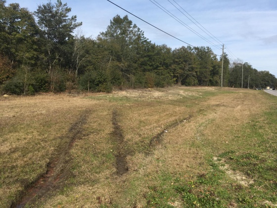 Freeport, Florida 32439, ,Commercial for Sale,For Sale,Highway 20,815803