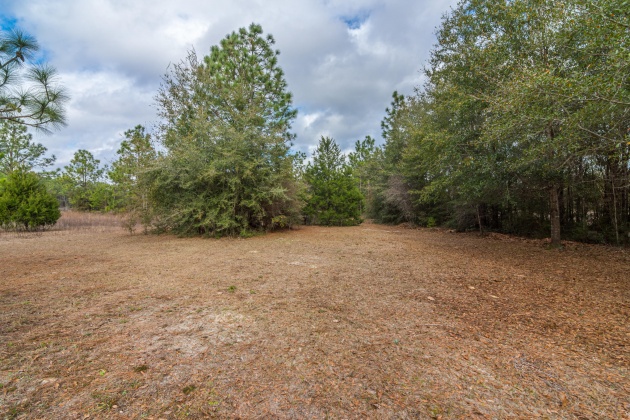 Defuniak Springs, Florida 32433, ,Commercial for Sale,For Sale,US-90,863343