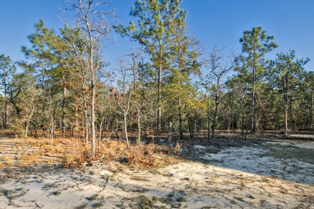 Defuniak Springs, Florida 32433, 3 Bedrooms Bedrooms, ,2 BathroomsBathrooms,Residential,For Sale,Iris East,863184