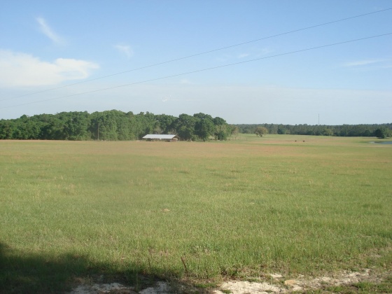 Holt, Florida 32564, ,Land,For Sale,Gilmore,863466