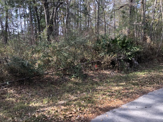 Freeport, Florida 32439, ,Land,For Sale,Bayside,863490