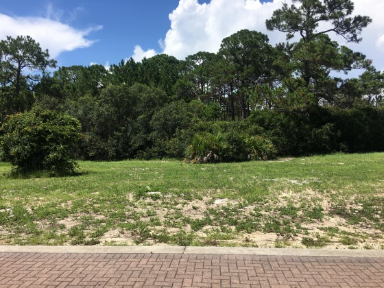 Santa Rosa Beach, Florida 32459, ,Land,For Sale,Sand Oaks,821651