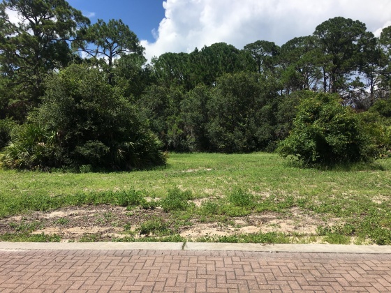 Santa Rosa Beach, Florida 32459, ,Land,For Sale,Sand Oaks,821650