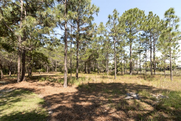 Miramar Beach, Florida 32550, ,Land,For Sale,Pine Valley,838048