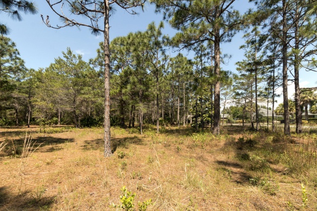 Miramar Beach, Florida 32550, ,Land,For Sale,Pine Valley,838048