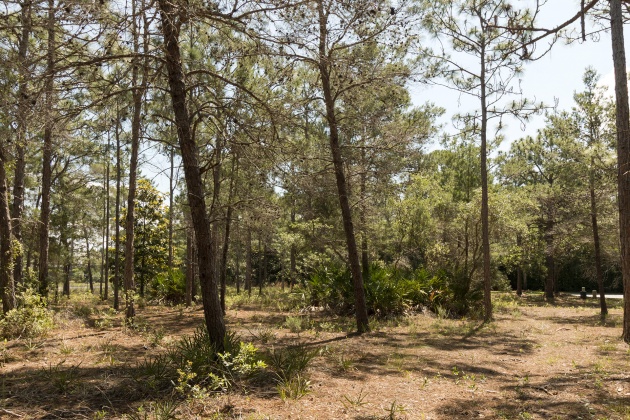 Miramar Beach, Florida 32550, ,Land,For Sale,Pine Valley,838048