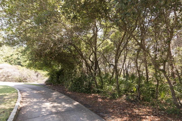 Miramar Beach, Florida 32550, ,Land,For Sale,Pine Valley,838048
