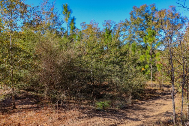 Crestview, Florida 32536, ,Land,For Sale,Tallokas,861635