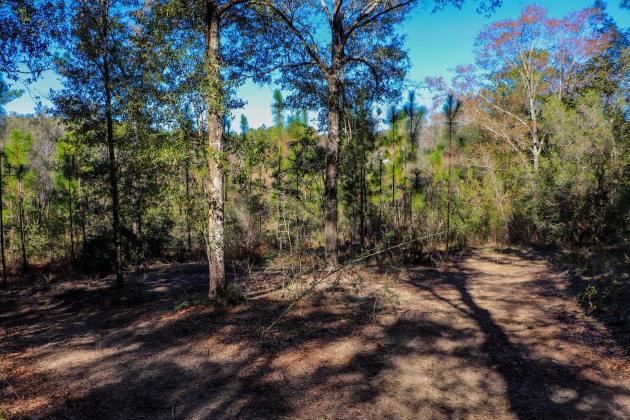 Crestview, Florida 32536, ,Land,For Sale,Tallokas,861635