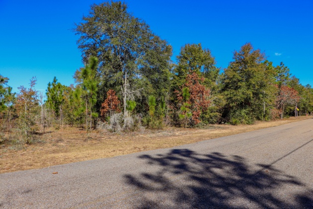 Crestview, Florida 32536, ,Land,For Sale,Tallokas,861635