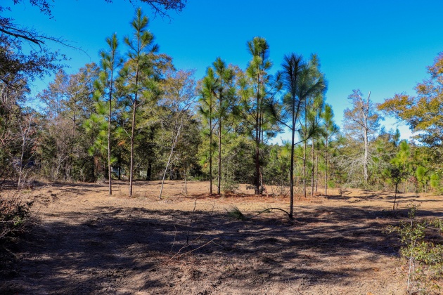 Crestview, Florida 32536, ,Land,For Sale,Tallokas,861635