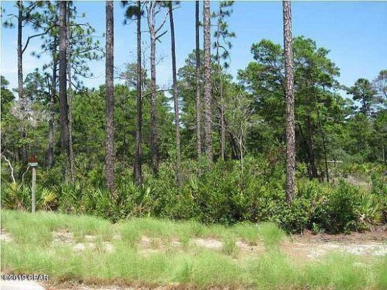 Panama City Beach, Florida 32413, ,Land,For Sale,Dune Lake,863728