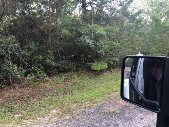 Freeport, Florida 32439, ,Land,For Sale,Horseshoe,863752