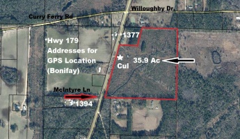 Bonifay, Florida 32425, ,Land,For Sale,Hwy 179,863840