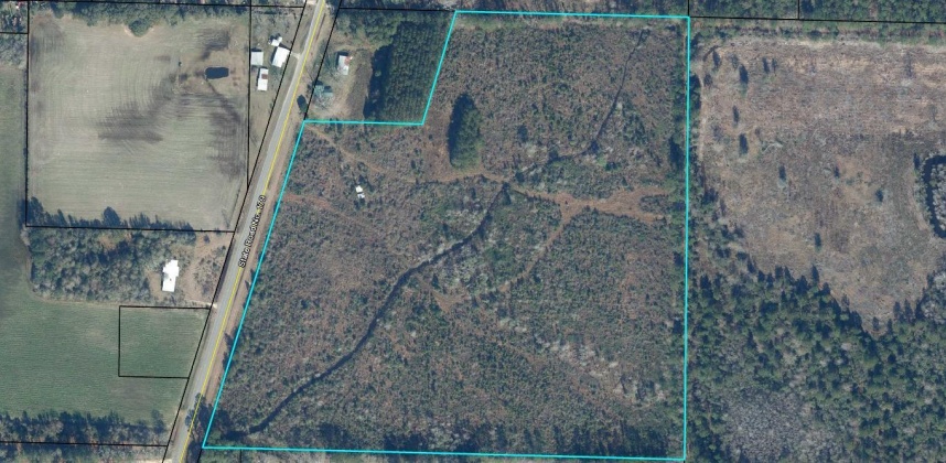 Bonifay, Florida 32425, ,Land,For Sale,Hwy 179,863840