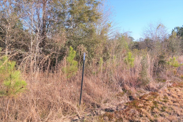 Bonifay, Florida 32425, ,Land,For Sale,Hwy 179,863840