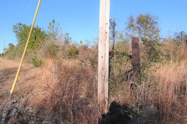Bonifay, Florida 32425, ,Land,For Sale,Hwy 179,863840
