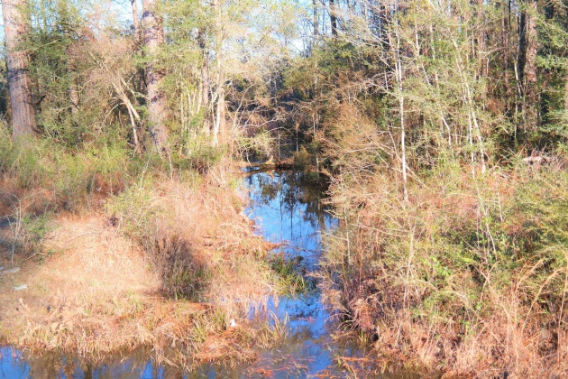 Bonifay, Florida 32425, ,Land,For Sale,Hwy 179,863840