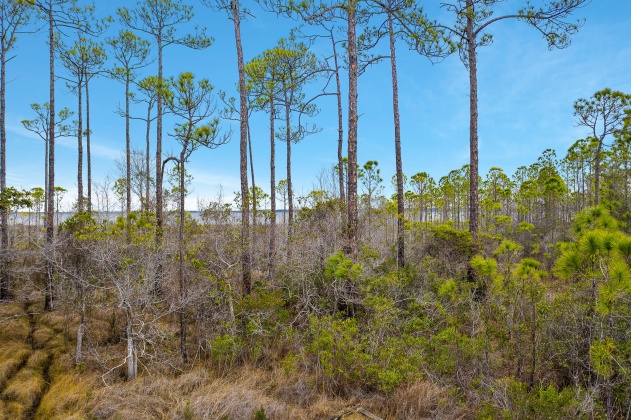 Santa Rosa Beach, Florida 32459, ,Land,For Sale,Kali,863791