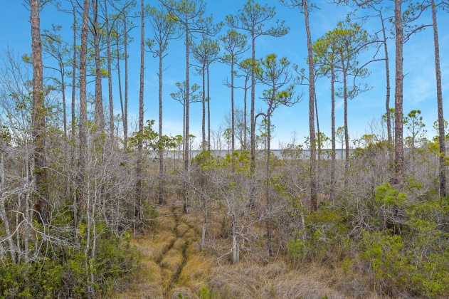 Santa Rosa Beach, Florida 32459, ,Land,For Sale,Kali,863791