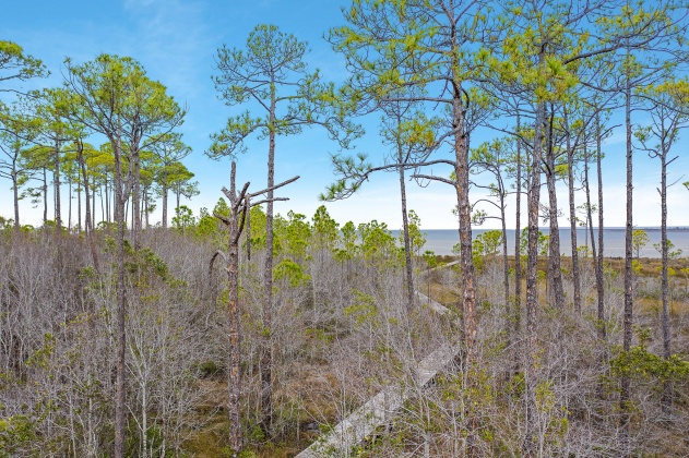 Santa Rosa Beach, Florida 32459, ,Land,For Sale,Kali,863791