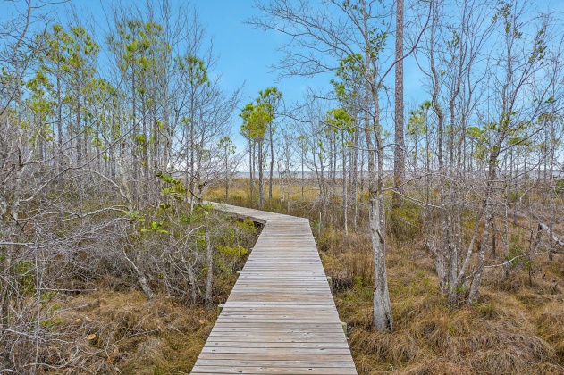 Santa Rosa Beach, Florida 32459, ,Land,For Sale,Kali,863791