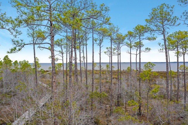 Santa Rosa Beach, Florida 32459, ,Land,For Sale,Kali,863791