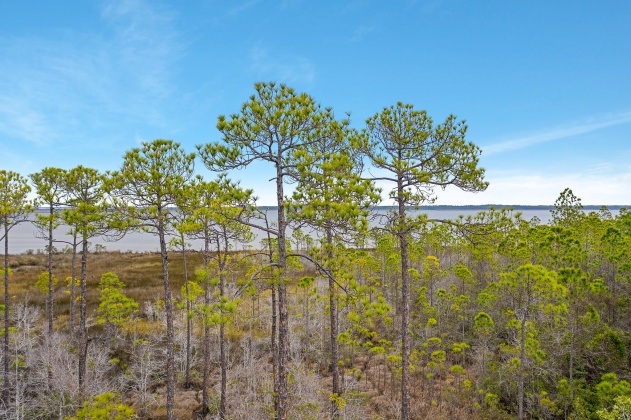 Santa Rosa Beach, Florida 32459, ,Land,For Sale,Kali,863791