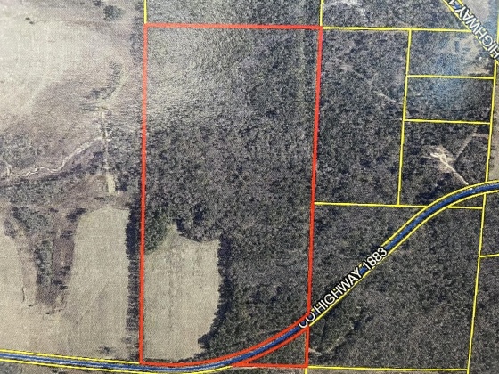 Ponce De Leon, Florida 32455, ,Land,For Sale,County Highway 1883,863831