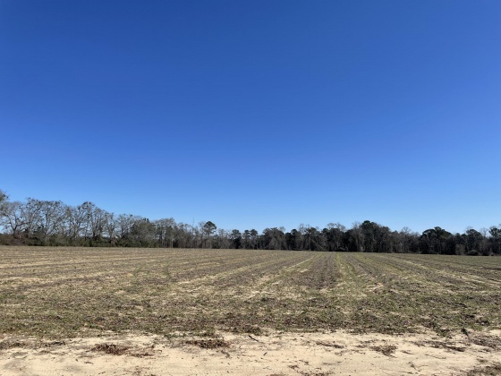Ponce De Leon, Florida 32455, ,Land,For Sale,County Highway 1883,863831