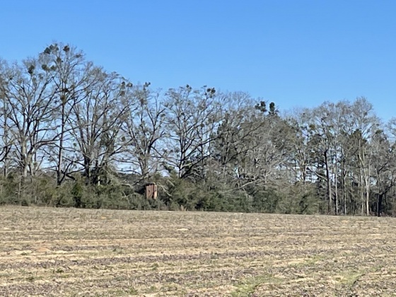 Ponce De Leon, Florida 32455, ,Land,For Sale,County Highway 1883,863831