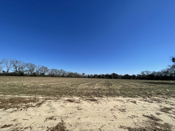 Ponce De Leon, Florida 32455, ,Land,For Sale,County Highway 1883,863831