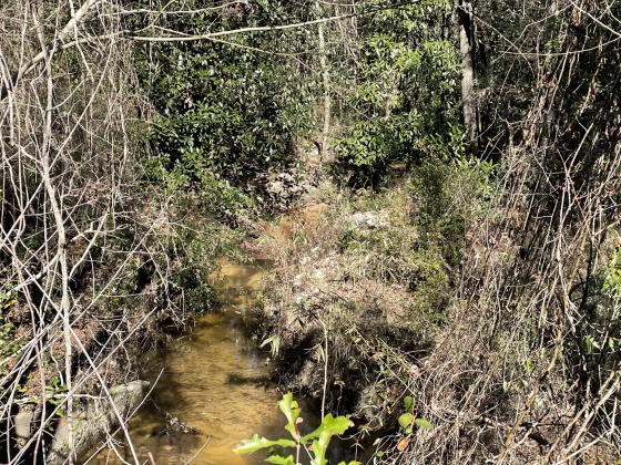 Ponce De Leon, Florida 32455, ,Land,For Sale,County Highway 1883,863831