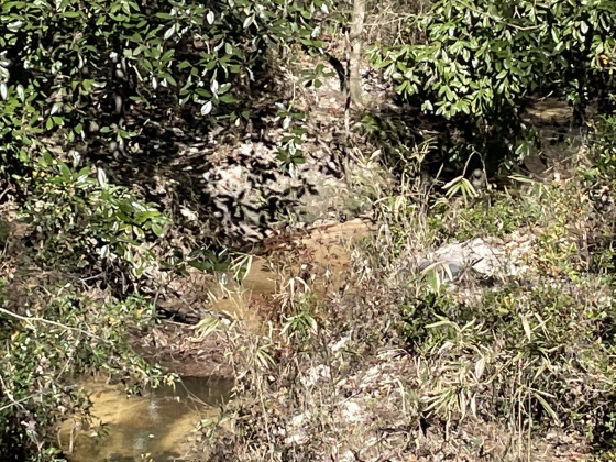 Ponce De Leon, Florida 32455, ,Land,For Sale,County Highway 1883,863831