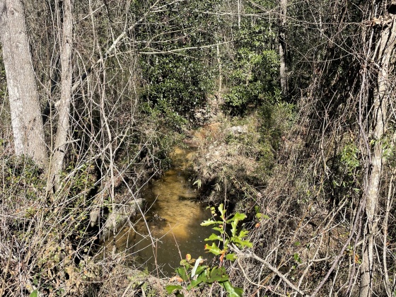 Ponce De Leon, Florida 32455, ,Land,For Sale,County Highway 1883,863831