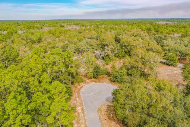 Freeport, Florida 32439, ,Land,For Sale,Jessica Ct,863783